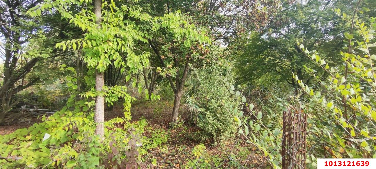 Фото №7: Личное подсобное хозяйство - Южная Кубань, ул. Цветочная, 438