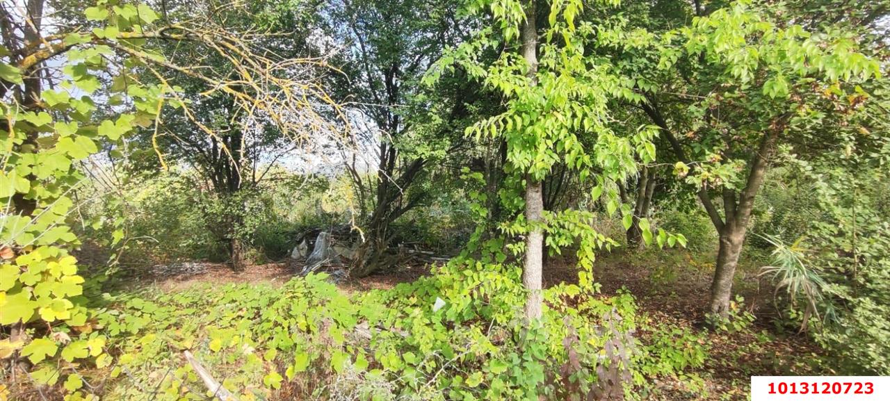 Фото №10: Земельный участок 6 сот. - Южная Кубань, ул. Цветочная, 438