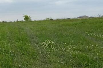 Фото №3: Земельный участок под ИЖС - Афипский, 