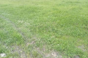 Фото №1: Земельный участок под ИЖС - Афипский, 