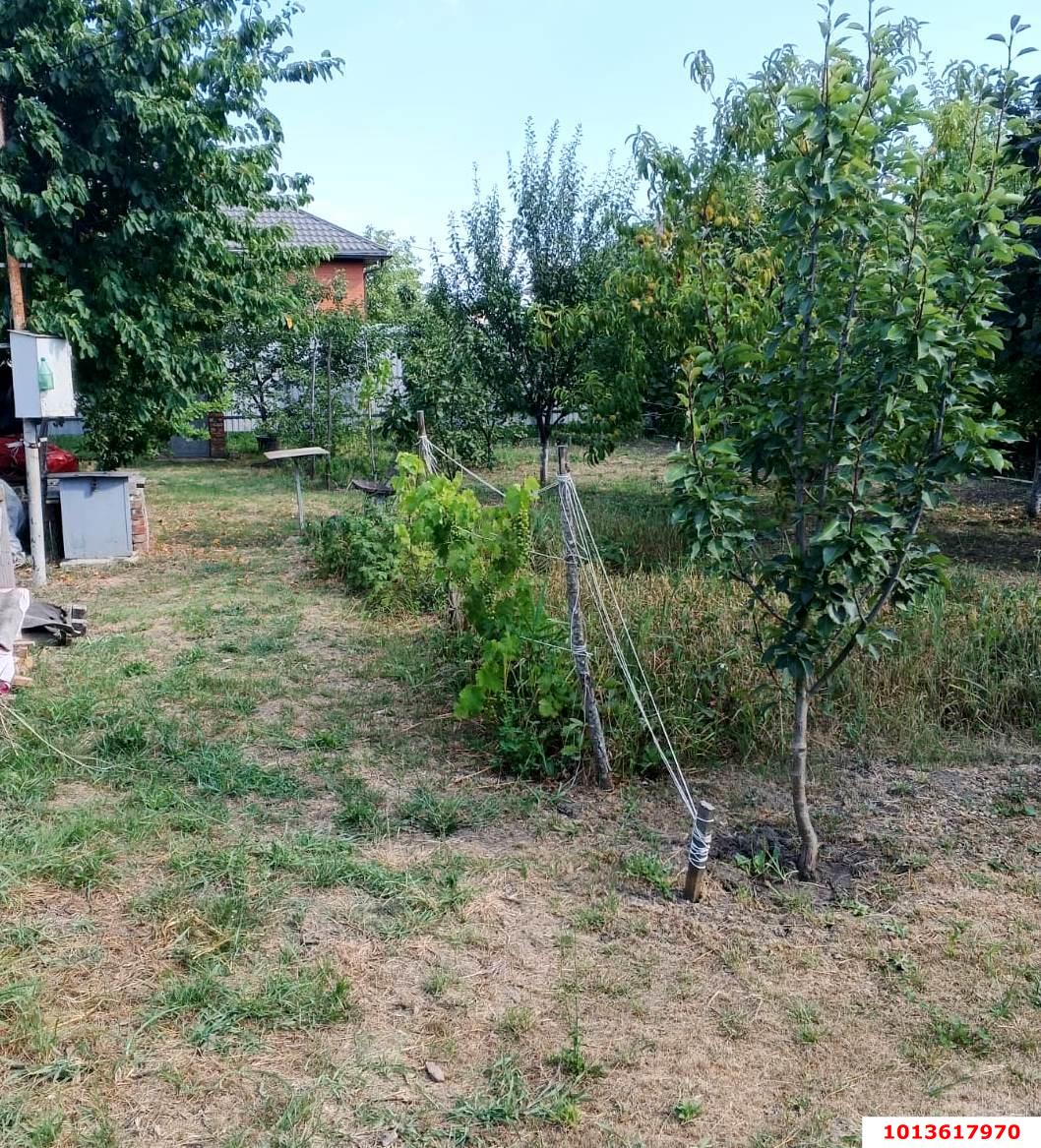 Фото №2: Земельный участок 6 сот. - Елизаветинская, ул. Клубничная, 8