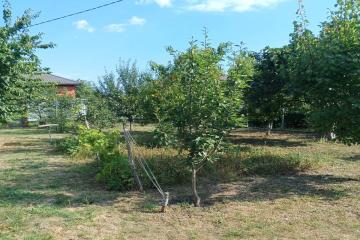 Фото №1: Земельный участок 6 сот. - Елизаветинская, ст Роднички, ул. Клубничная, 8