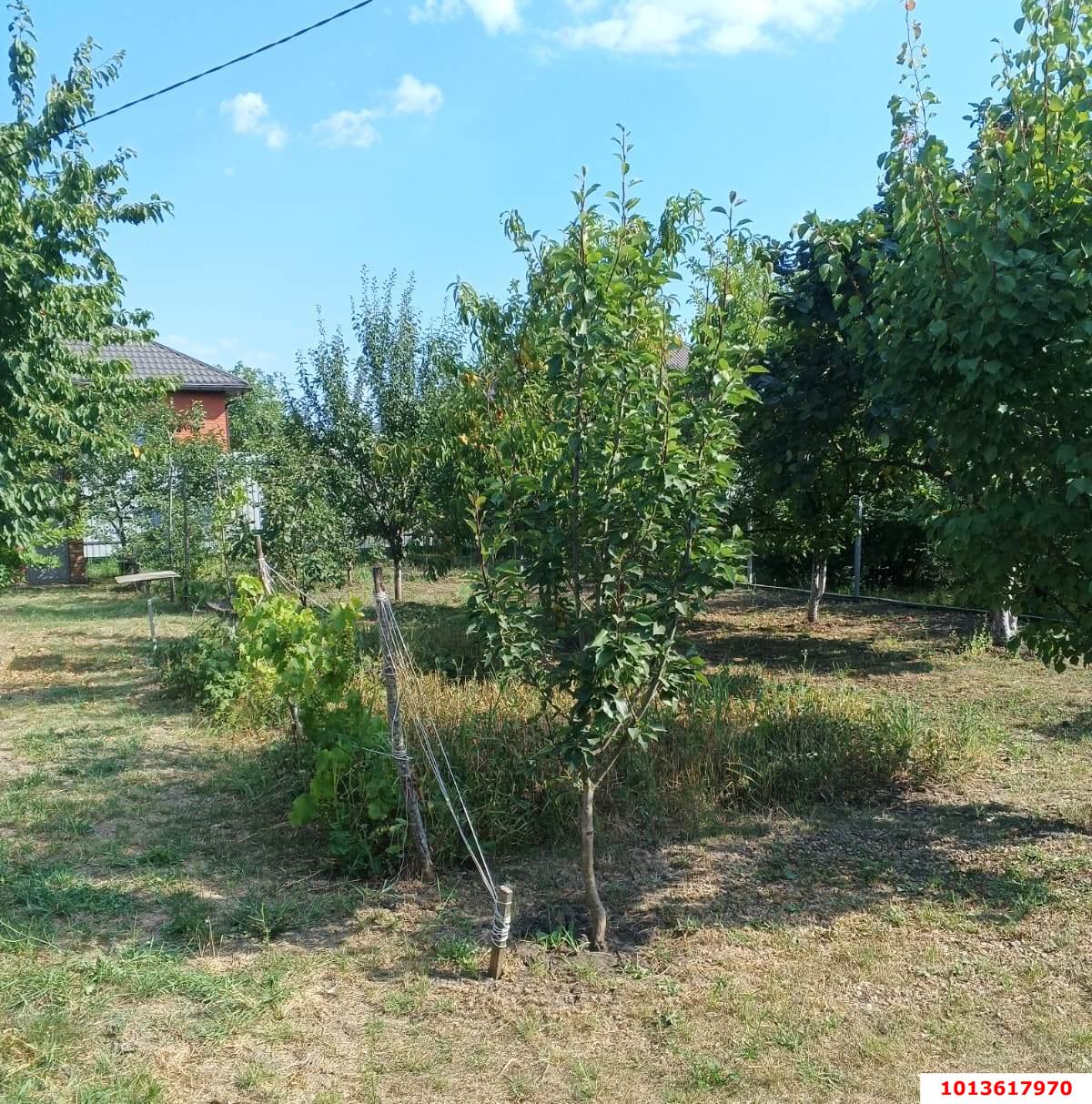 Фото №1: Земельный участок 6 сот. - Елизаветинская, ул. Клубничная, 8