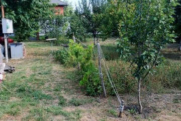 Фото №2: Участок садоводство 6 сот. - Елизаветинская, ст Роднички, ул. Клубничная, 8