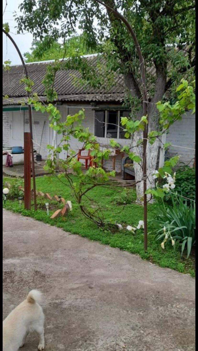 Фото №5: Дом 54 м² + 25 сот. - Южный, ул. Школьная, 33