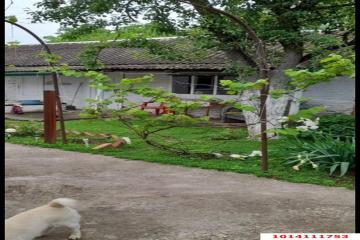 Фото №5: Дом 54 м² - Южный, ул. Школьная, 33