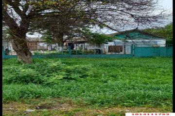 Фото №3: Дом 54 м² - Южный, ул. Школьная, 33