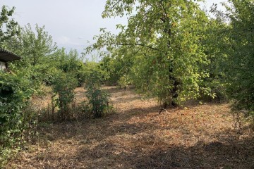 Фото №2: Коммерческая земля 5 сот. - Электрон, мкр. Карасунский внутригородской округ, ул. Вишнёвая, 41