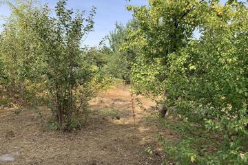 Фото №3: Коммерция 4 м² - Электрон, мкр. Карасунский внутригородской округ, ул. Вишнёвая, 41