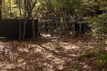 Фото №2: Участок садоводство 25 сот. - Горячий Ключ, п. Золотая Гора, ул. Золотая Гора, 1А