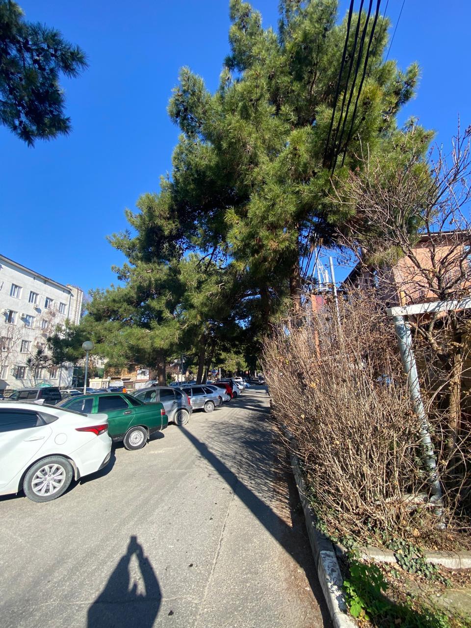 Фото №2: Дом 104 м² + 5.24 сот. - Геленджик, ул. Шевченко