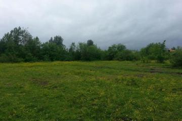 Фото №1: Земельный участок 25 сот. - Новопетровский, мкр. Музыкальный, ул. Таманская, 41