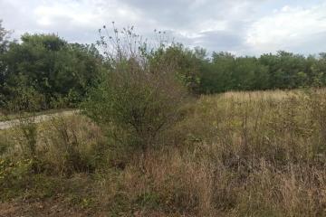 Фото №5: Земельный участок 25 сот. - Новопетровский, мкр. Музыкальный, ул. Таманская, 41