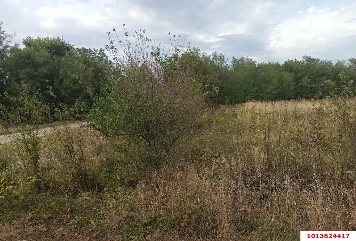 Фото №5: Земельный участок 25 сот. - Новопетровский, Прикубанский внутригородской округ, Завод Радиоизмерительных Приборов, мкр. Музыкальный, ул. Таманская, 41