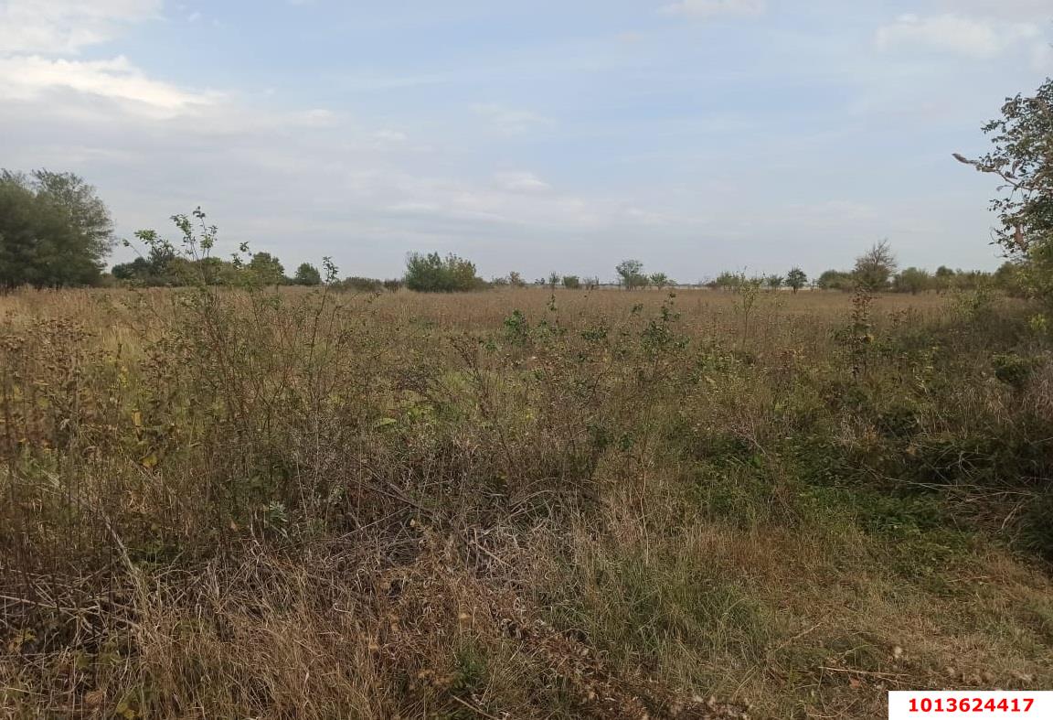 Фото №4: Земельный участок 25 сот. - Новопетровский, Прикубанский внутригородской округ, Завод Радиоизмерительных Приборов, мкр. Музыкальный, ул. Таманская, 41