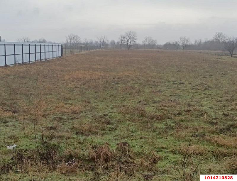 Фото №3: Земельный участок под ИЖС 33 сот. - Львовское, ул. Пионерская, 11