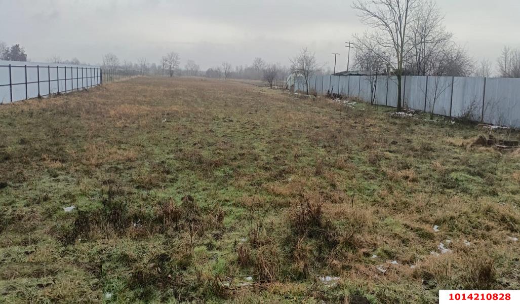 Фото №4: Земельный участок под ИЖС 33 сот. - Львовское, ул. Пионерская, 11