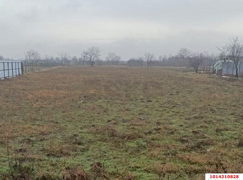 Фото №1: Земельный участок под ИЖС 33 сот. - Львовское, ул. Пионерская, 11