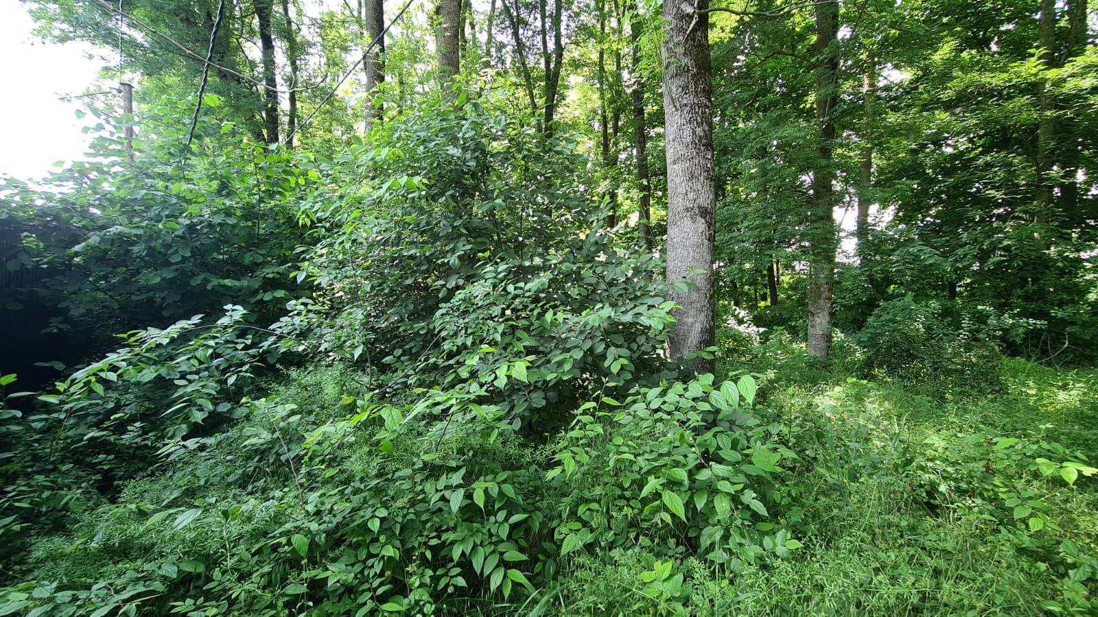 Фото №4: Земельный участок 6 сот. - Сад Кубани, мкр. Прикубанский внутригородской округ, ул. Железнодорожная, 8