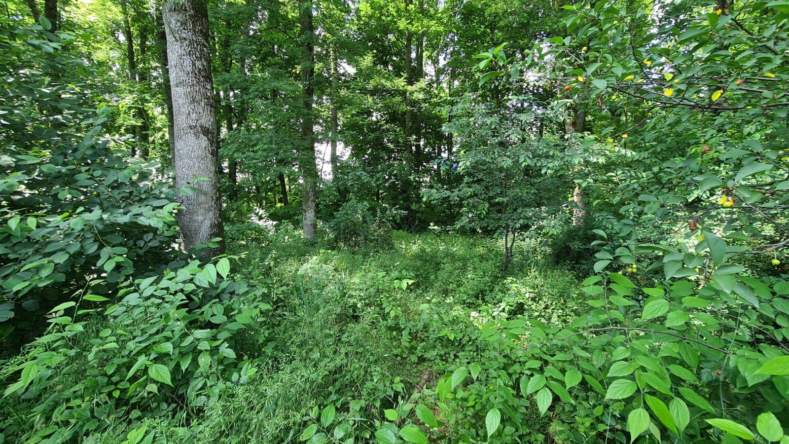 Фото №6: Земельный участок 6 сот. - Сад Кубани, мкр. Прикубанский внутригородской округ, ул. Железнодорожная, 8