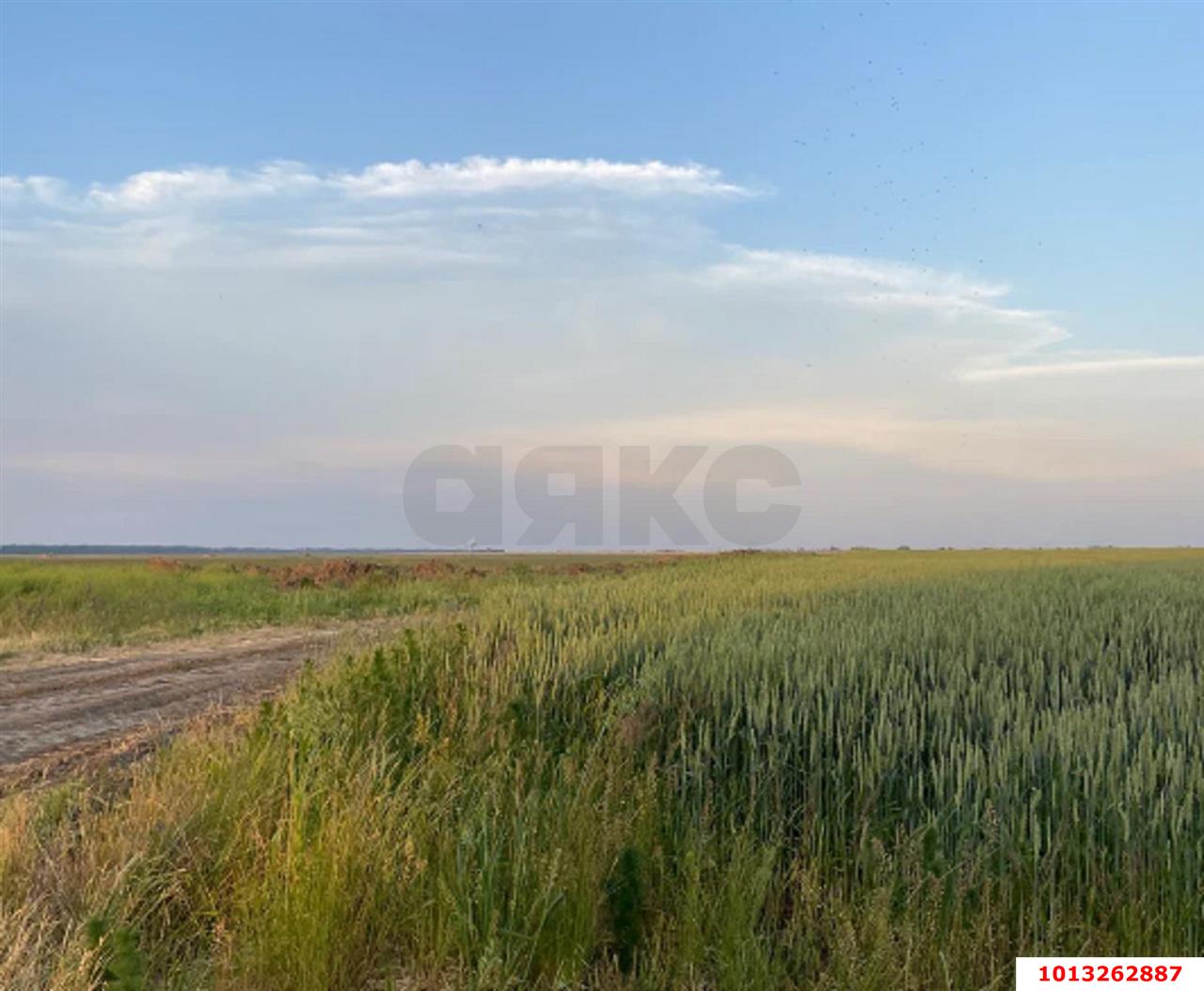 Фото №8: Коммерческая земля 7200 сот. - Анастасиевская, пер. Степной, 2