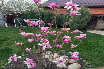 Фото №3: Дом 129 м² - Авиатор, мкр. Прикубанский внутригородской округ, ул. Виноградная, 132