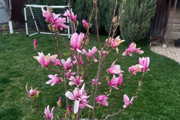 Фото №3: Дом 129 м² - Авиатор, мкр. Прикубанский внутригородской округ, ул. Виноградная, 132