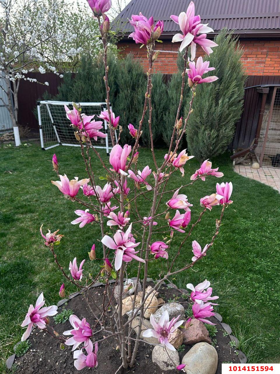 Фото №3: Дом 129 м² + 4 сот. - Авиатор, Прикубанский внутригородской округ, ул. Виноградная, 132