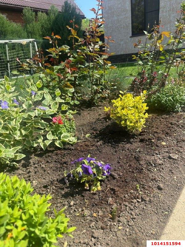 Фото №4: Дом 129 м² + 4 сот. - Авиатор, ул. Виноградная, 132