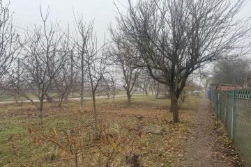 Фото №1: Дом 59 м² - Берёзовый, мкр. Витаминкомбинат, ул. Дивная, 1