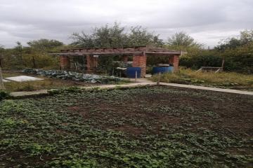 Фото №4: Земельный участок 8.31 сот. - Елизаветинская, счт некоммерческое  Ветеран, ул. Малиновая