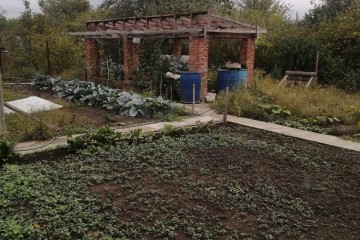 Фото №4: Участок садоводство 8.31 сот. - Елизаветинская, ст Фруктовый, ул. Виноградная