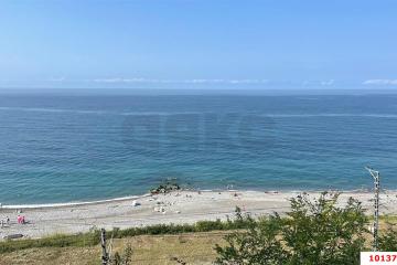 Фото №2: Студия 27 м² - Сочи, р. Лазаревский, пер. Огородный, 239