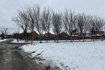 Фото №3: Земельный участок 10.26 сот. - Краснодар, ж/р Новознаменский, ул. Покровская, 13