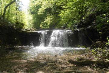 Фото №4: Земельный участок 41.84 сот. - Хребтовое, ул. Изумрудная, 17