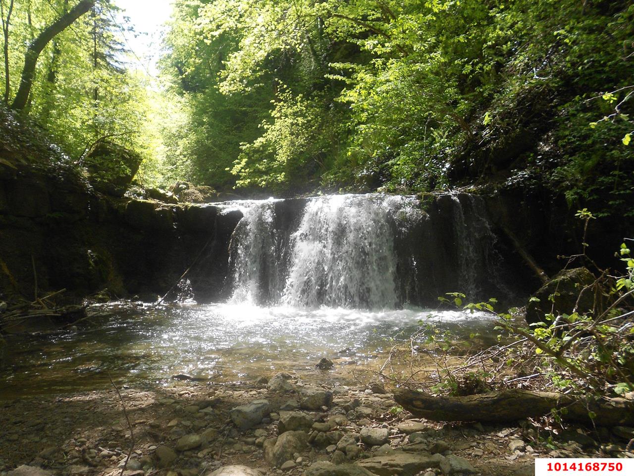 Фото №4: Земельный участок под ИЖС - Хребтовое, ул. Изумрудная, 17