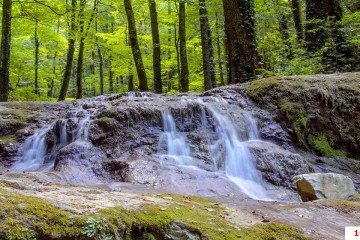 Фото №3: Земельный участок под ИЖС 41.84 сот. - Хребтовое, ул. Изумрудная, 17