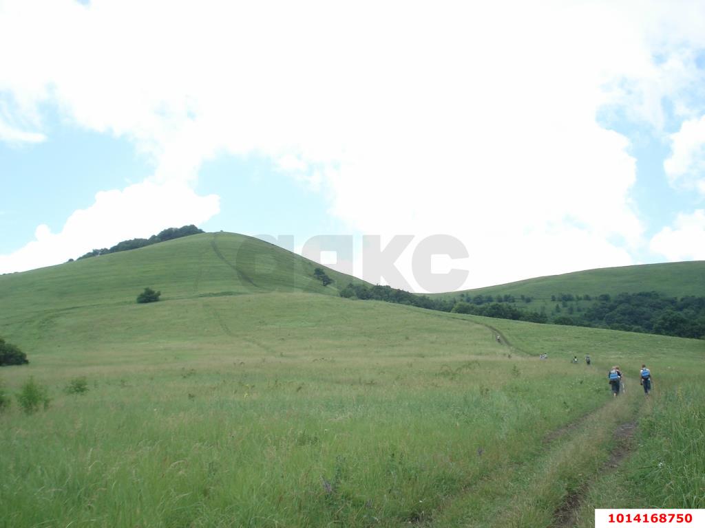 Фото №2: Земельный участок под ИЖС - Хребтовое, ул. Изумрудная, 17