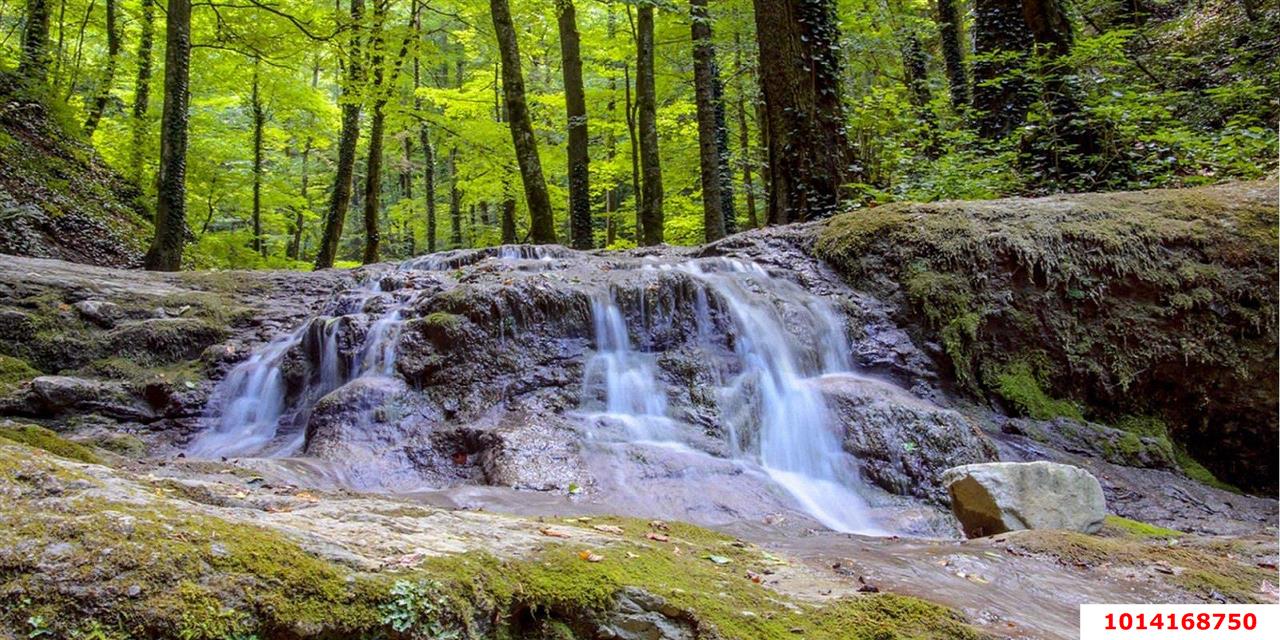 Фото №3: Земельный участок под ИЖС - Хребтовое, ул. Изумрудная, 17