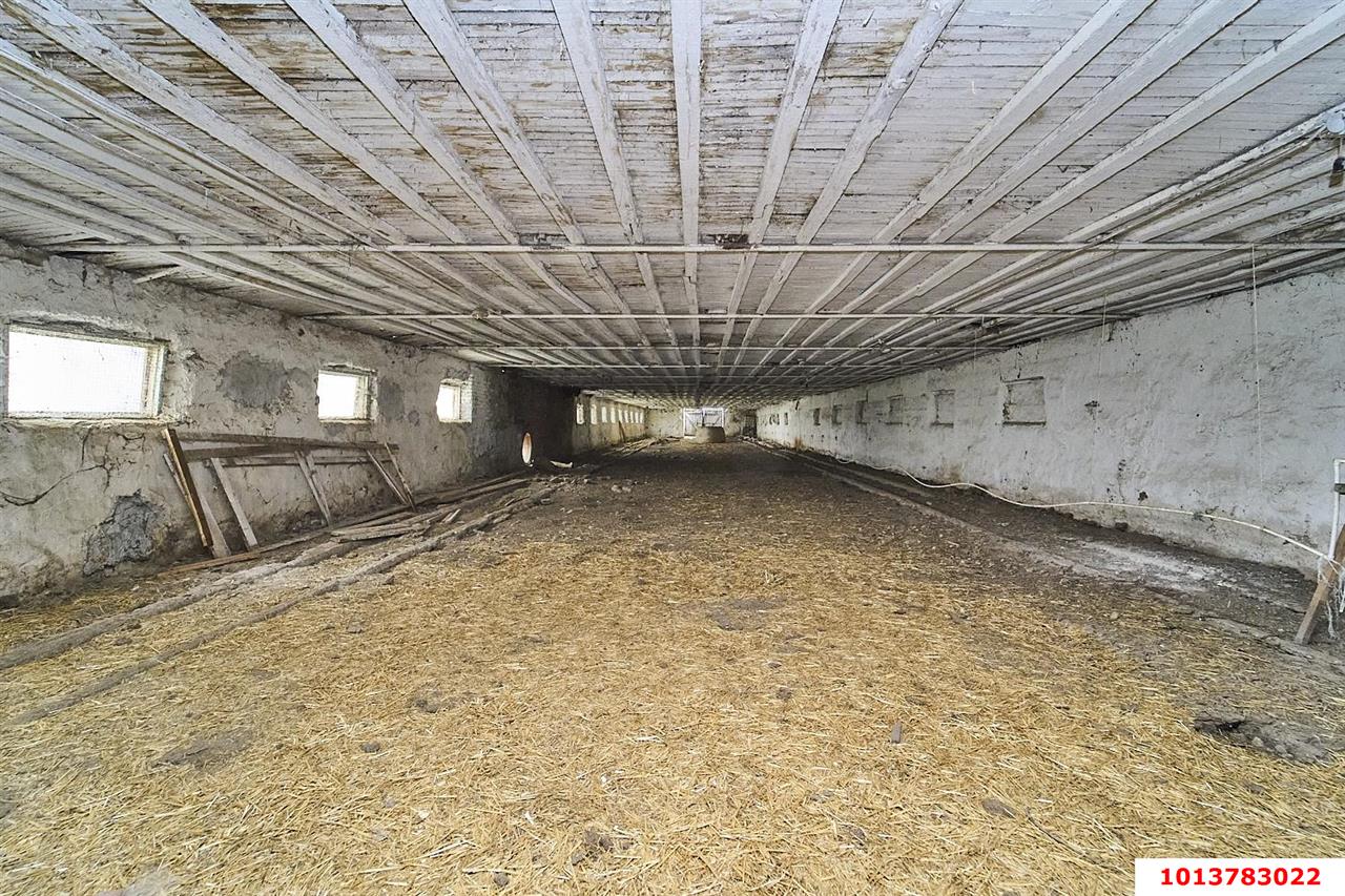 Фото №5: Коммерция 1354 м² - Медвёдовская, Прикубанский внутригородской округ, Завод Измерительных Приборов, мкр. жилой комплекс Москва, ул. Пушкина, 23