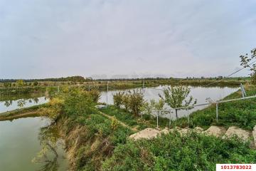 Фото №2: Коммерция 1354 м² - Медвёдовская, мкр. жилой комплекс Москва, ул. Пушкина, 23