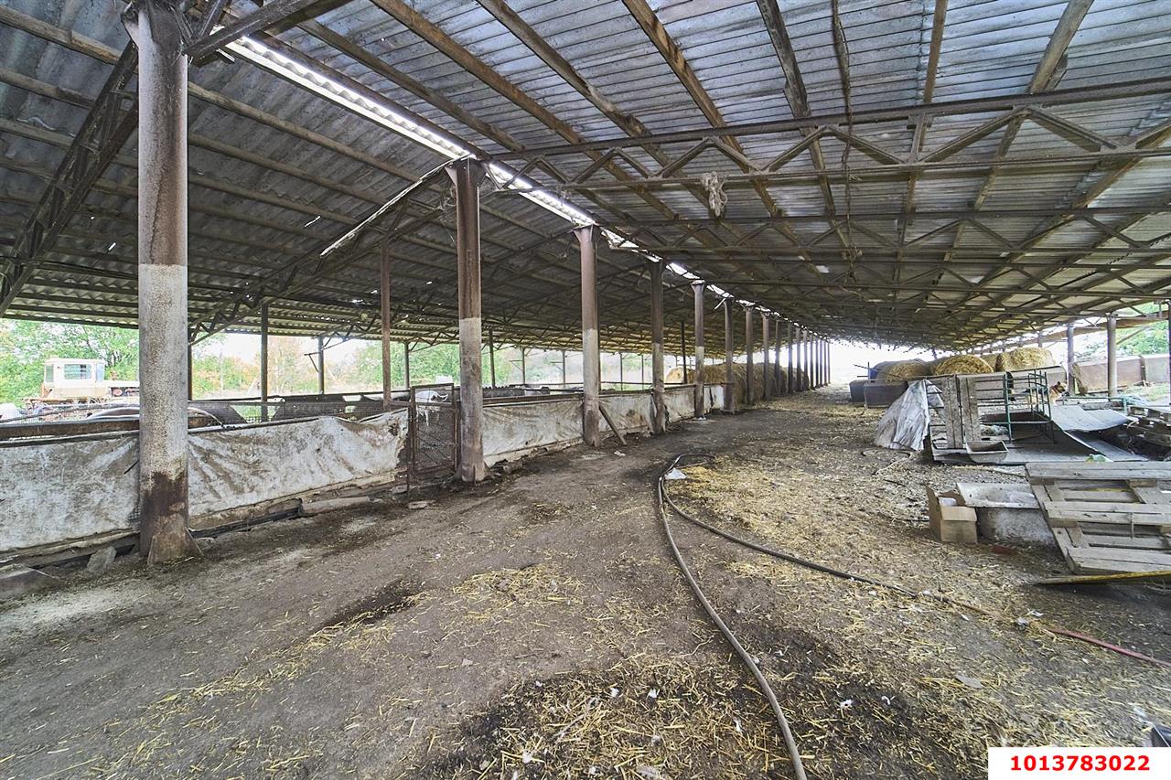 Фото №7: Коммерция 1354 м² - Медвёдовская, Прикубанский внутригородской округ, Завод Измерительных Приборов, мкр. жилой комплекс Москва, ул. Пушкина, 23