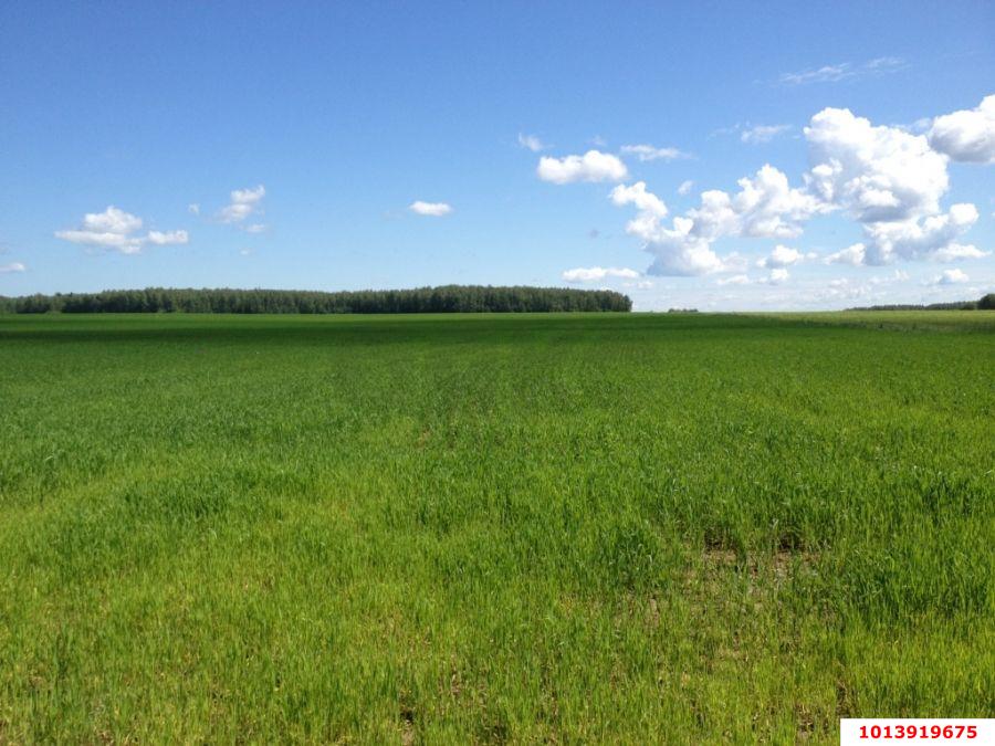 Фото №1: Личное подсобное хозяйство - Елизаветинская, Прикубанский внутригородской округ, ст Кубаночка, ул. Родины, 498