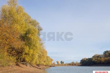Фото №2: Личное подсобное хозяйство - Елизаветинская, ст Кубаночка, ул. Родины, 498