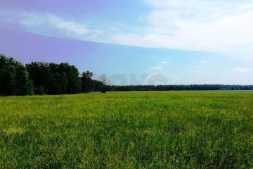 Фото №3: Личное подсобное хозяйство - Сочи, счт Монтажник, ул. Высокогорная, 52/234