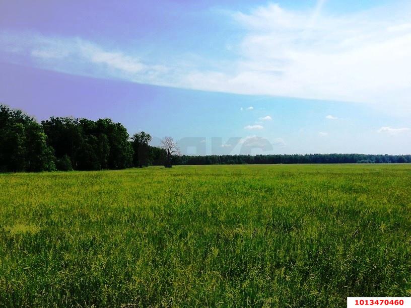 Фото №3: Личное подсобное хозяйство - Сочи, Хостинский, счт Монтажник, ул. Высокогорная, 52/234