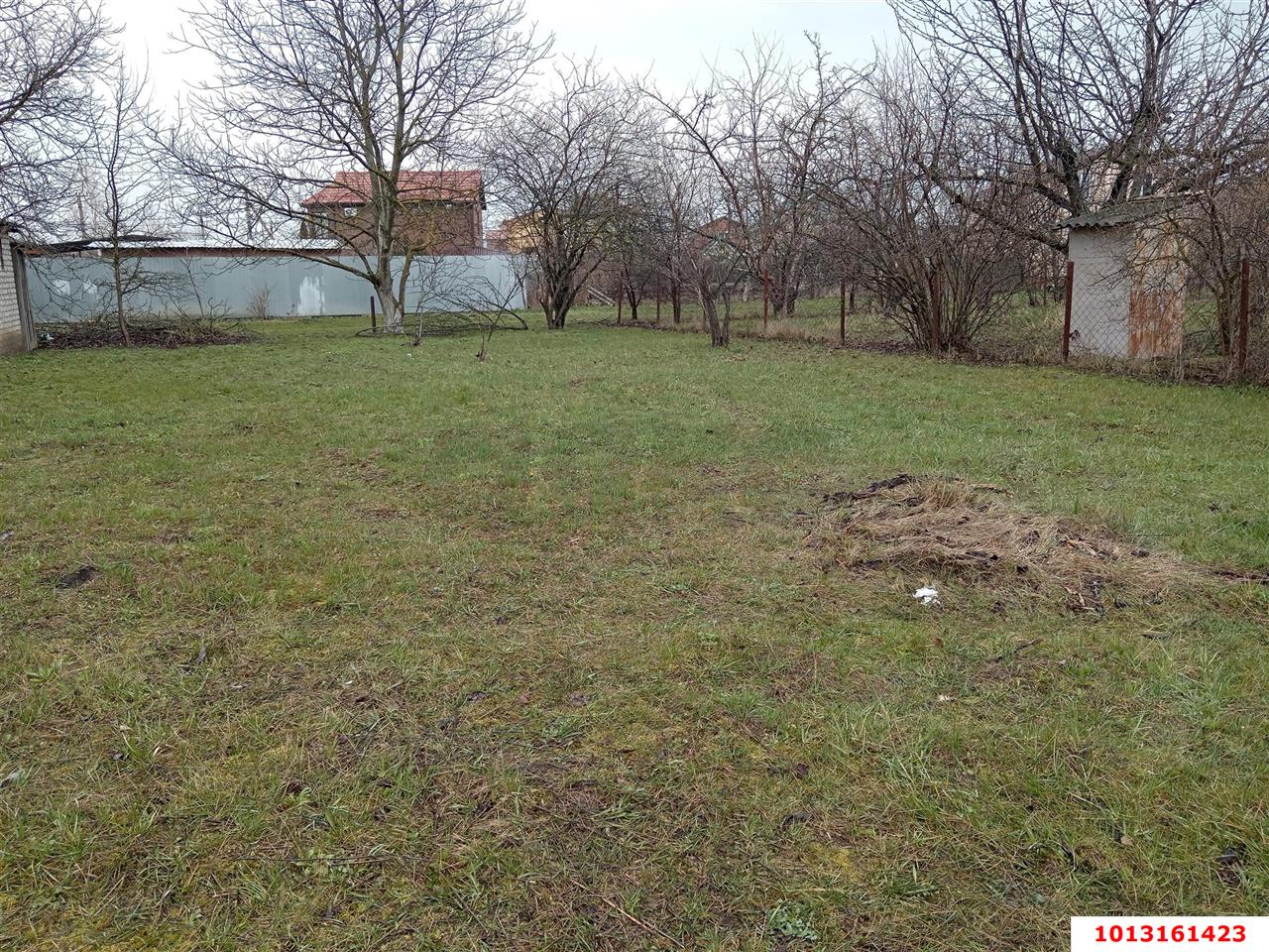 Фото №6: Личное подсобное хозяйство - Октябрьский, Прикубанский внутригородской округ, ст Радужное, ул. Зелёная