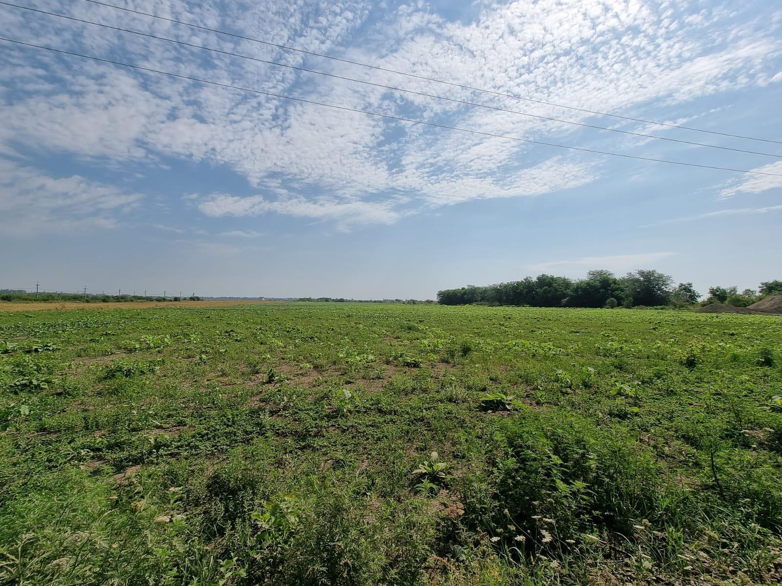 Фото №2: Коммерция 5 м² - Аврора, ул. Великая, 40