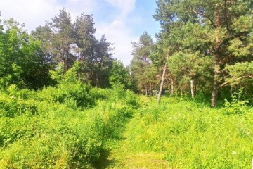 Фото №3: Земельный участок под ИЖС 1483.85 сот. - Средний Дукмасов, ул. Луговая, 7