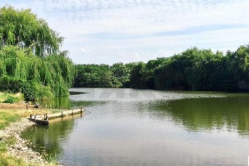 Фото №2: Земельный участок под ИЖС 1483.85 сот. - Средний Дукмасов, ул. Луговая, 7